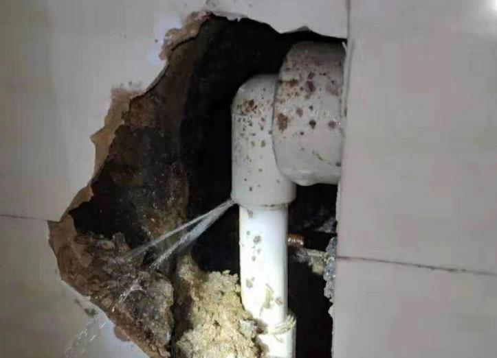 公元水管漏水包賠嗎？選購時別光看牌子！還得看它！