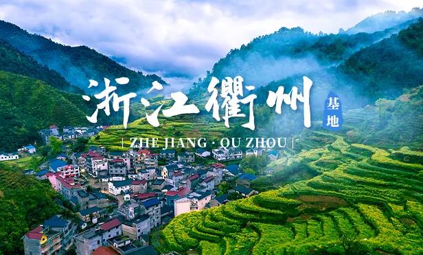 衢州ppr水管加盟代理哪個品牌好？選擇國產還是進口品牌？